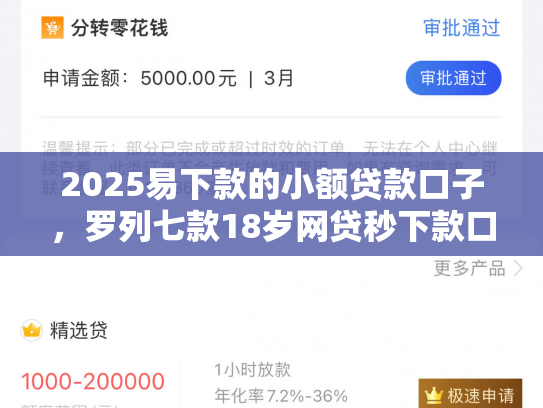 2025易下款的小额贷款口子，罗列七款18岁网贷秒下款口子