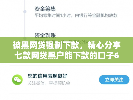 被黑网贷强制下款，精心分享七款网贷黑户能下款的口子6