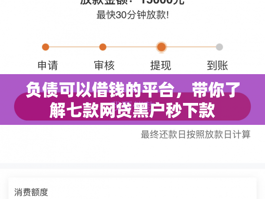 负债可以借钱的平台，带你了解七款网贷黑户秒下款
