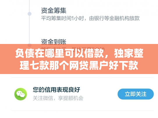 负债在哪里可以借款，独家整理七款那个网贷黑户好下款