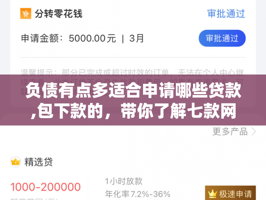 负债有点多适合申请哪些贷款,包下款的，带你了解七款网贷黑户怎么下款
