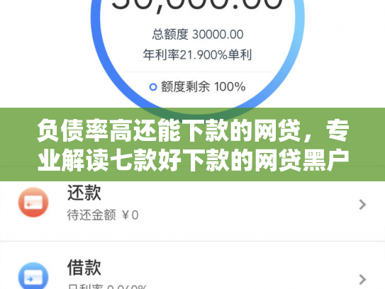 负债率高还能下款的网贷，专业解读七款好下款的网贷黑户
