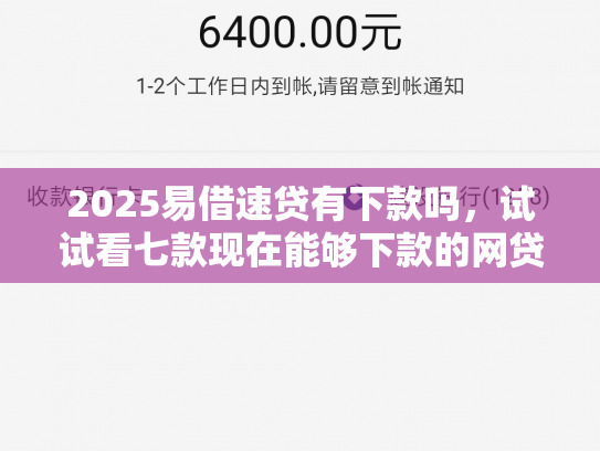2025易借速贷有下款吗，试试看七款现在能够下款的网贷口子
