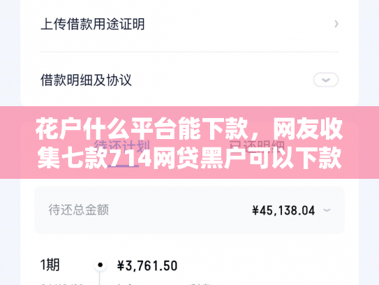 花户什么平台能下款，网友收集七款714网贷黑户可以下款