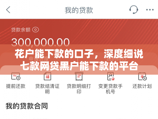 花户能下款的口子，深度细说七款网贷黑户能下款的平台