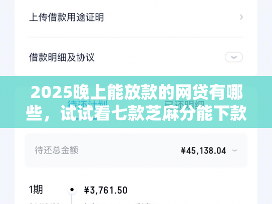 2025晚上能放款的网贷有哪些，试试看七款芝麻分能下款网贷口子