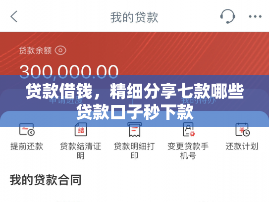 贷款借钱，精细分享七款哪些贷款口子秒下款