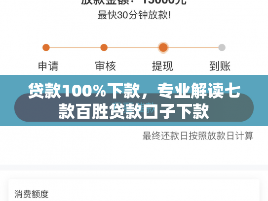 贷款100%下款，专业解读七款百胜贷款口子下款