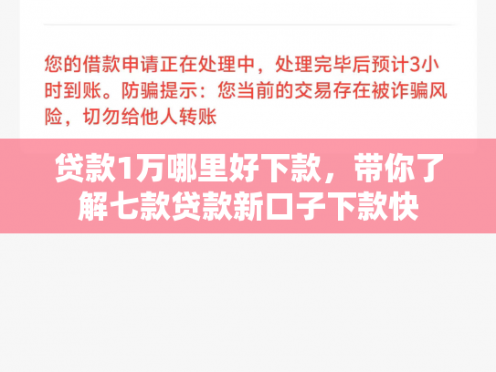 贷款1万哪里好下款，带你了解七款贷款新口子下款快