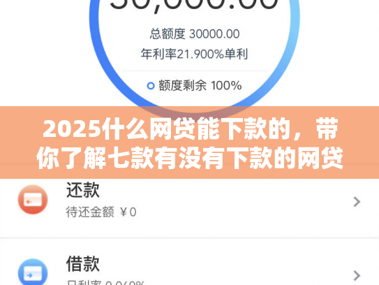 2025什么网贷能下款的，带你了解七款有没有下款的网贷口子