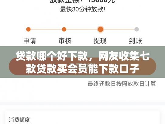 贷款哪个好下款，网友收集七款贷款买会员能下款口子
