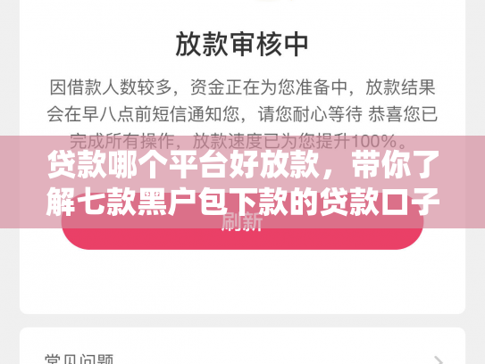 贷款哪个平台好放款，带你了解七款黑户包下款的贷款口子