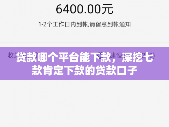 贷款哪个平台能下款，深挖七款肯定下款的贷款口子