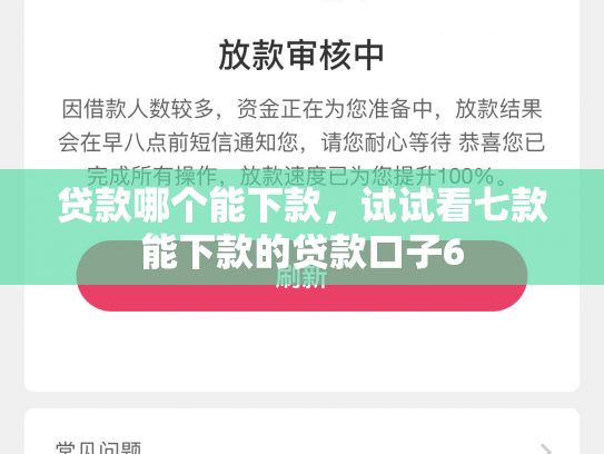贷款哪个能下款，试试看七款能下款的贷款口子6