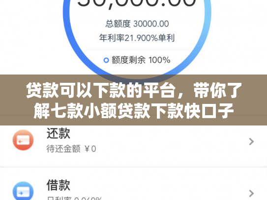 贷款可以下款的平台，带你了解七款小额贷款下款快口子