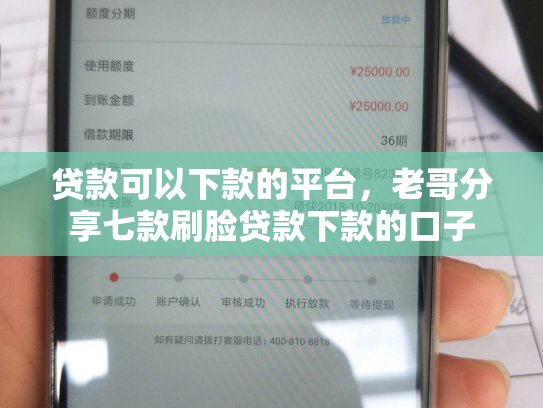贷款可以下款的平台，老哥分享七款刷脸贷款下款的口子