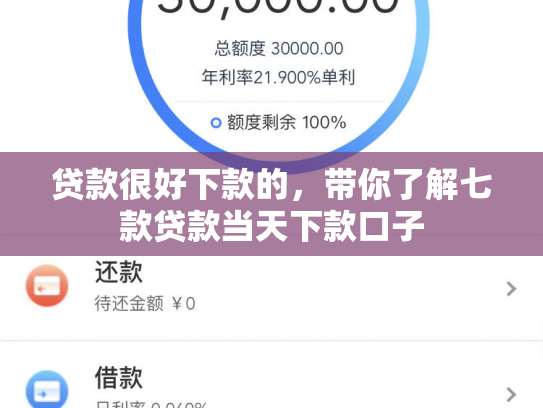 贷款很好下款的，带你了解七款贷款当天下款口子