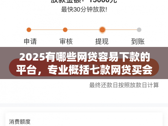 2025有哪些网贷容易下款的平台，专业概括七款网贷买会员必下款口子