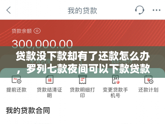 贷款没下款却有了还款怎么办，罗列七款夜间可以下款贷款口子