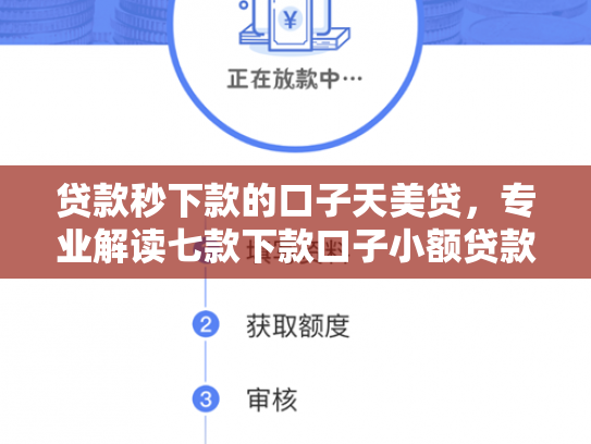 贷款秒下款的口子天美贷，专业解读七款下款口子小额贷款公司