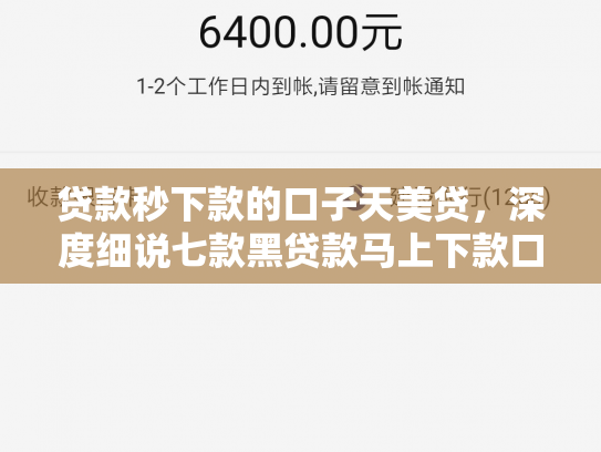 贷款秒下款的口子天美贷，深度细说七款黑贷款马上下款口子