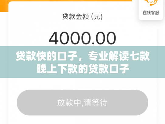 贷款快的口子，专业解读七款晚上下款的贷款口子