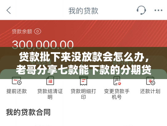 贷款批下来没放款会怎么办，老哥分享七款能下款的分期贷款口子