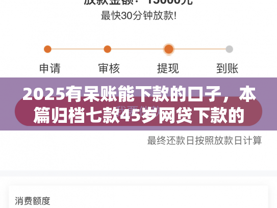 2025有呆账能下款的口子，本篇归档七款45岁网贷下款的口子