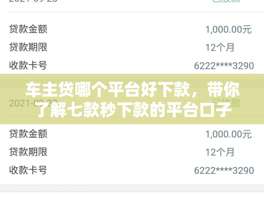 车主贷哪个平台好下款，带你了解七款秒下款的平台口子