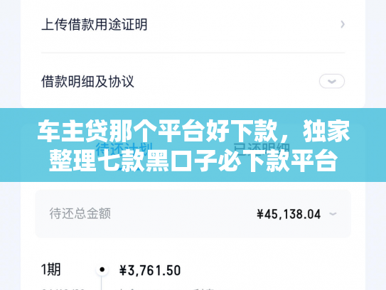 车主贷那个平台好下款，独家整理七款黑口子必下款平台