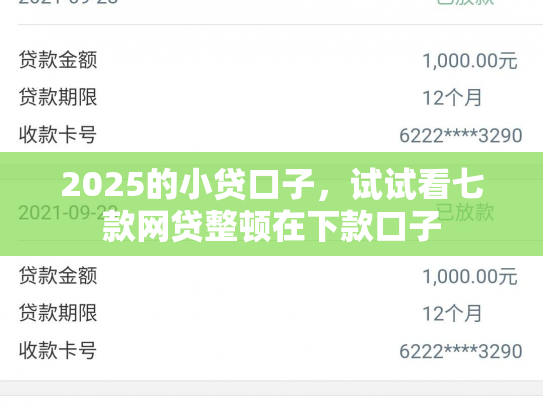 2025的小贷口子，试试看七款网贷整顿在下款口子