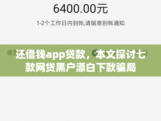 还借钱app贷款，本文探讨七款网贷黑户漂白下款骗局