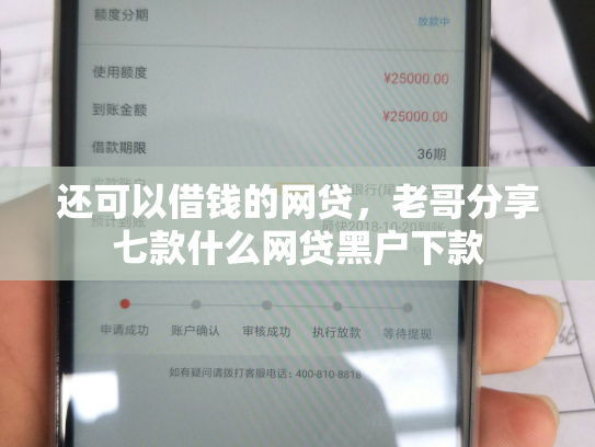 还可以借钱的网贷，老哥分享七款什么网贷黑户下款