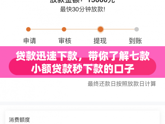 贷款迅速下款，带你了解七款小额贷款秒下款的口子