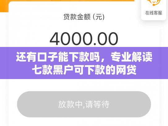 还有口子能下款吗，专业解读七款黑户可下款的网贷