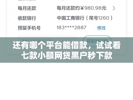 还有哪个平台能借款，试试看七款小额网贷黑户秒下款