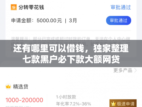还有哪里可以借钱，独家整理七款黑户必下款大额网贷