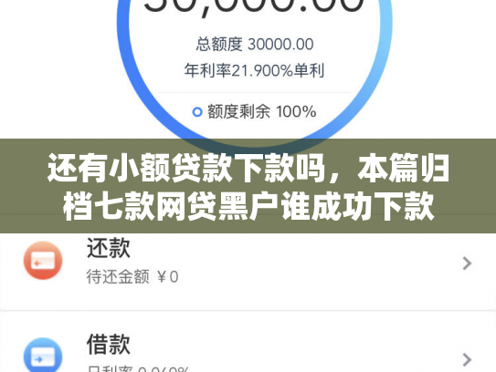 还有小额贷款下款吗，本篇归档七款网贷黑户谁成功下款