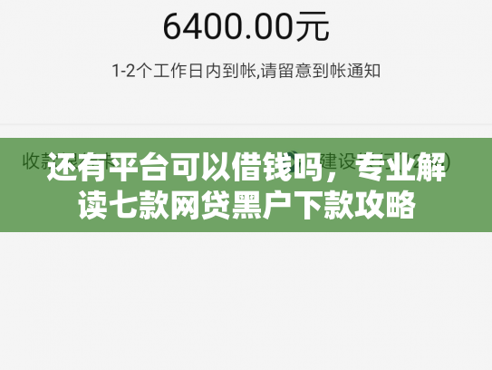 还有平台可以借钱吗，专业解读七款网贷黑户下款攻略