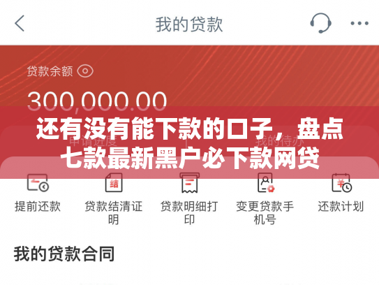 还有没有能下款的口子，盘点七款最新黑户必下款网贷