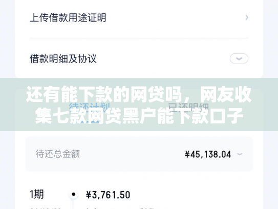 还有能下款的网贷吗，网友收集七款网贷黑户能下款口子