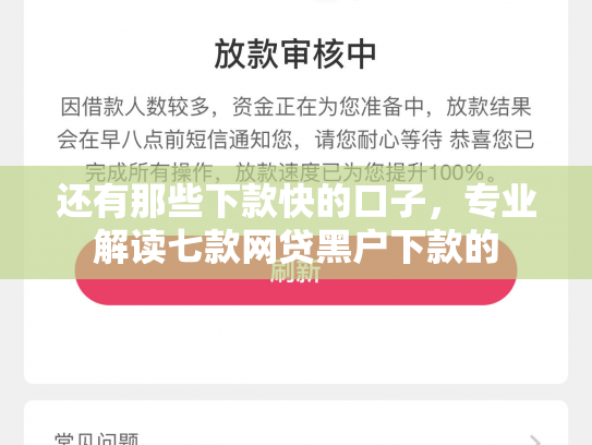 还有那些下款快的口子，专业解读七款网贷黑户下款的