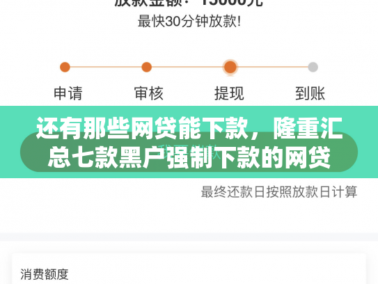 还有那些网贷能下款，隆重汇总七款黑户强制下款的网贷
