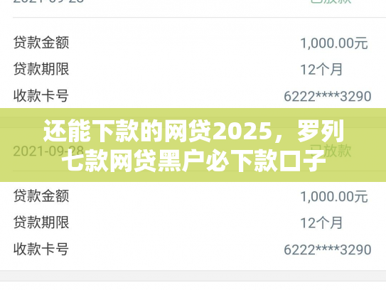 还能下款的网贷2025，罗列七款网贷黑户必下款口子