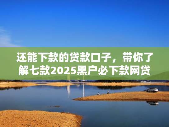 还能下款的贷款口子，带你了解七款2025黑户必下款网贷
