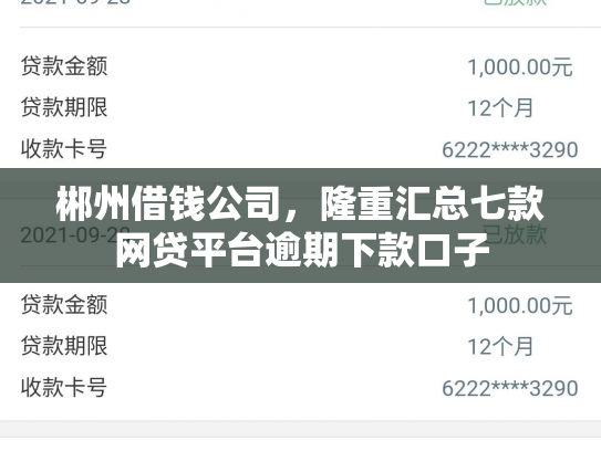 郴州借钱公司，隆重汇总七款网贷平台逾期下款口子
