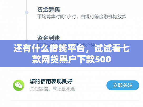 还有什么借钱平台，试试看七款网贷黑户下款500