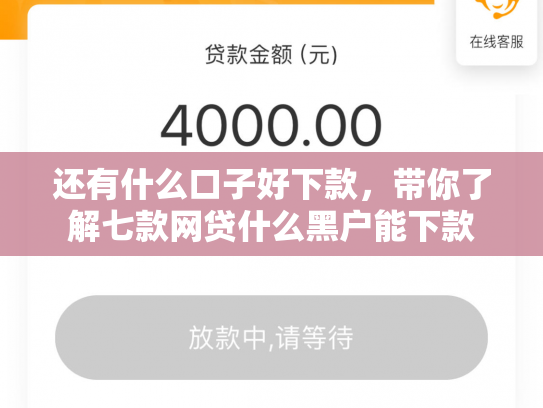 还有什么口子好下款，带你了解七款网贷什么黑户能下款
