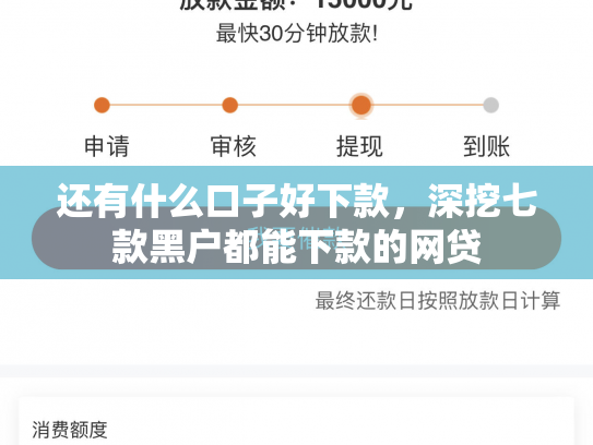 还有什么口子好下款，深挖七款黑户都能下款的网贷