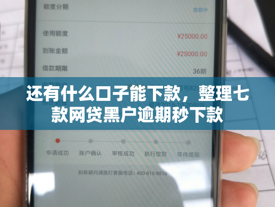 还有什么口子能下款，整理七款网贷黑户逾期秒下款